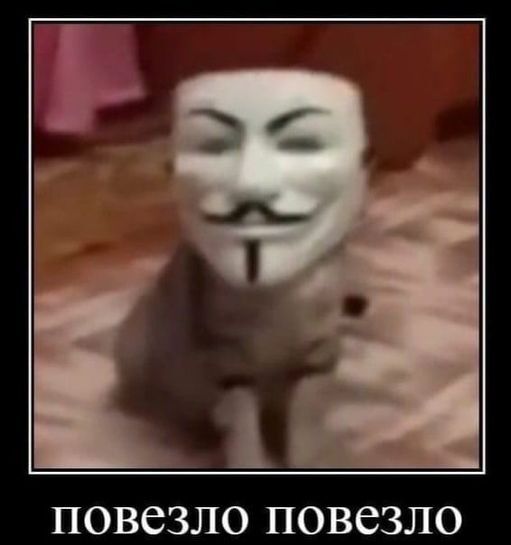 13375761-aBdUa.jpg