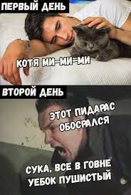 13482701-qSWT0.jpg
