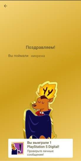 5474103-codZv.jpg