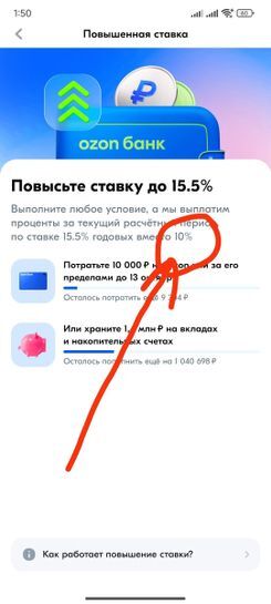 15519288-Y3OBq.jpg