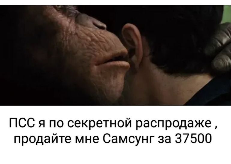 15601169-c5jHH.jpg
