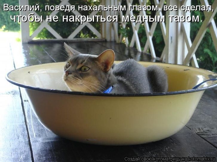 11894384-uwMYK.jpg
