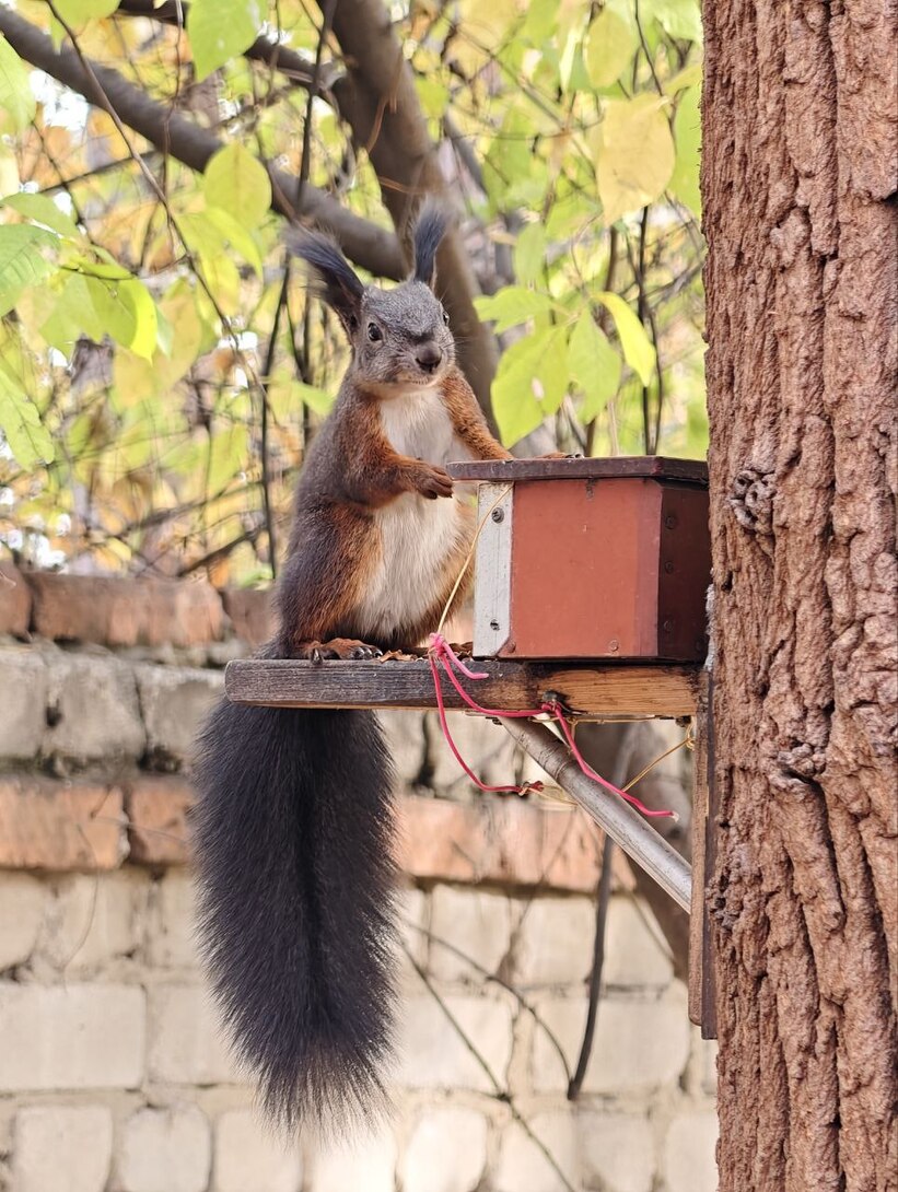 photo2025-10-0616-01-57