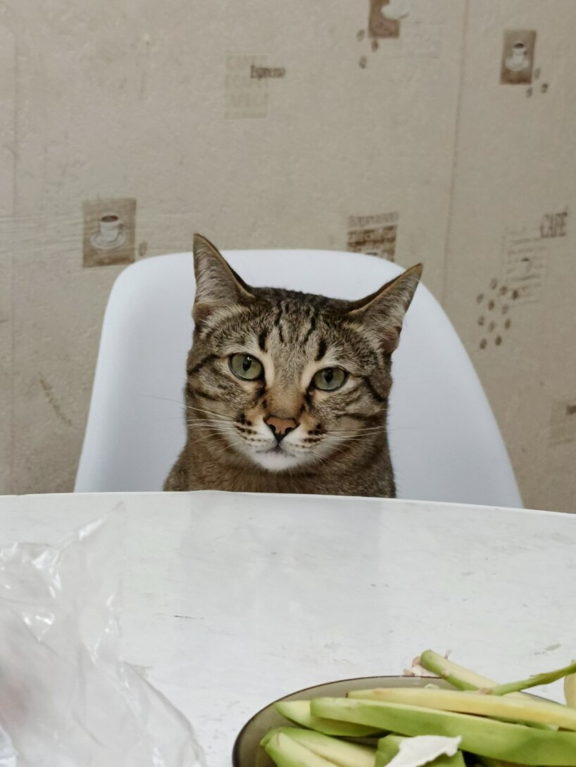 IMAGE2025-11-12103038