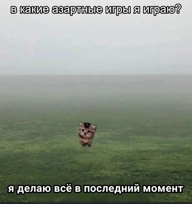 5d2eb1dac5a3b143d534c31af2d8797f