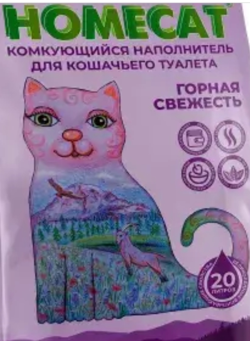 IMG20250125052430