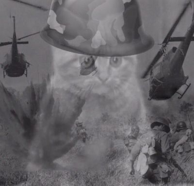 memi-klev-club-gnjz-p-memi-kot-fleshbeki-vetnamskie-7