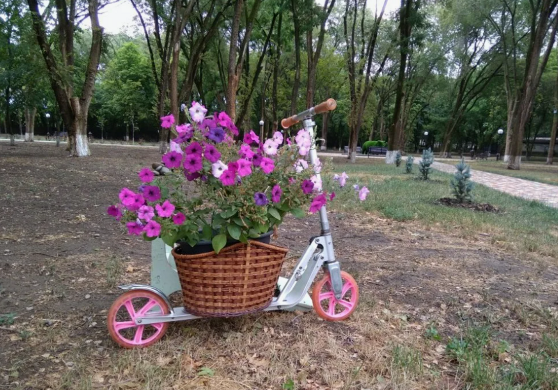 image2025-03-0610-29-27