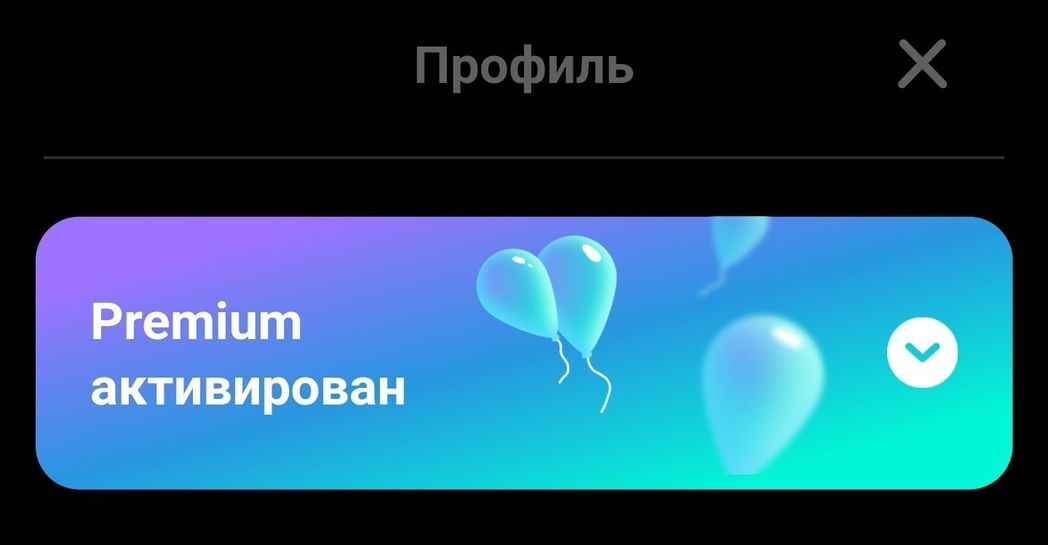 8536007_1.jpg