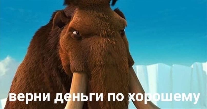 14543135-GAd8K.jpg