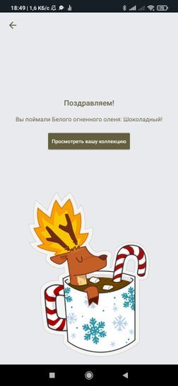 8776209-DXioa.jpg
