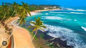 Шри Ланка 7 ночей вылет 19 мая из Москвы на двоих