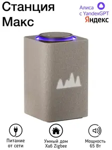 Умная колонка станция Макс Zigbee на YaGPT YNDX-00053 (с макс. кошельком)