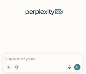 Подписка на Perplexity.ai на год