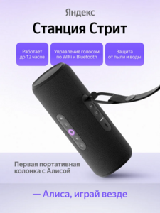 Умная портативная колонка Яндекс Станция Стрит (с WB Кошельком)
