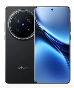 Смартфон Vivo X200 Pro 12/256ГБ 