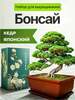 Набор для выращивания растений Бонсай