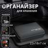 Сумка-органайзер 22х18х7 (с картой OZON, из-за рубежа)