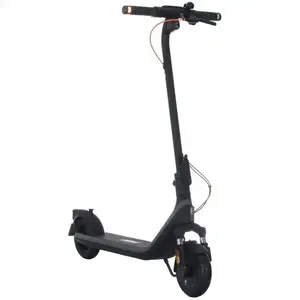 Электросамокат Ninebot Kick Scooter E2 Plus II черный