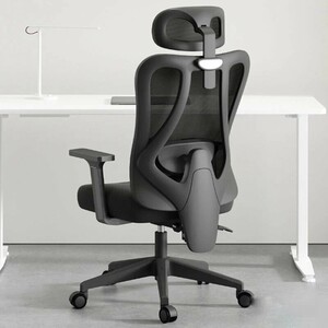 Офисное компьютерное кресло Xiaomi HBADA Ergonomic Computer Office Chair P1-Standard Model-Fixed Armrest