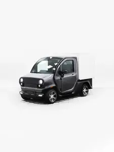 [МСК] Грузовой фургон Eonyx Profi Cargo