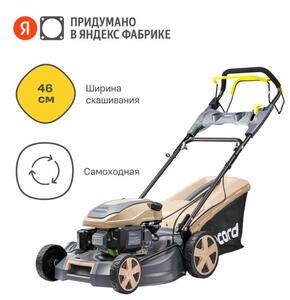 Activity Image