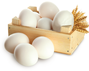 -30% на яйцо Ряба (напр. 1 десяток)